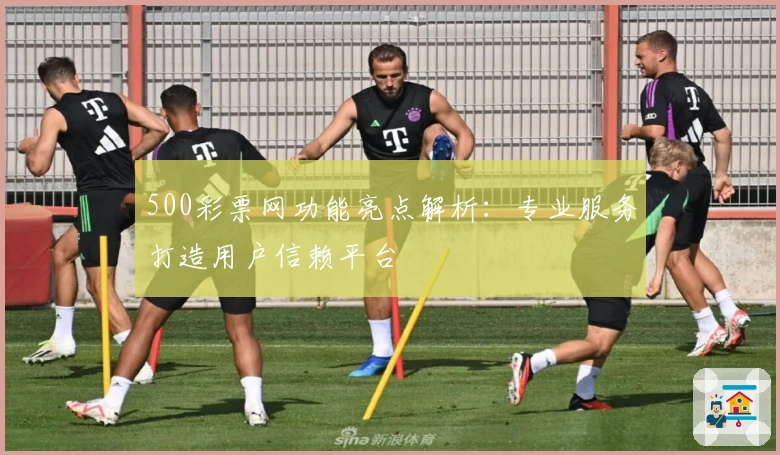 500彩票网功能亮点解析：专业服务打造用户信赖平台