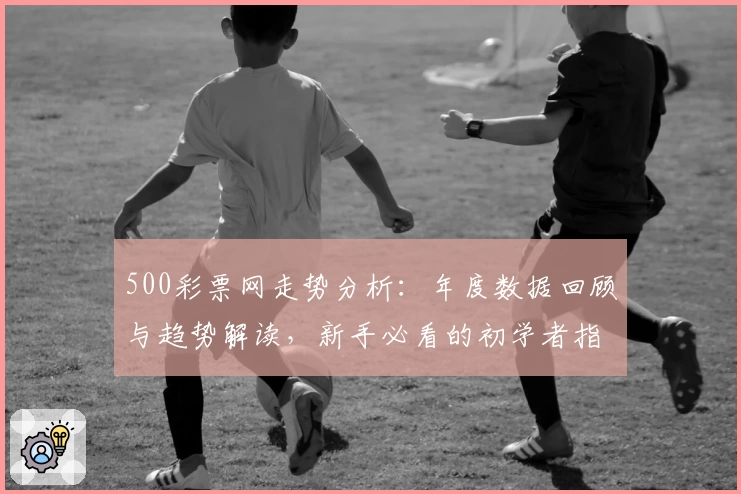 500彩票网走势分析：年度数据回顾与趋势解读，新手必看的初学者指导